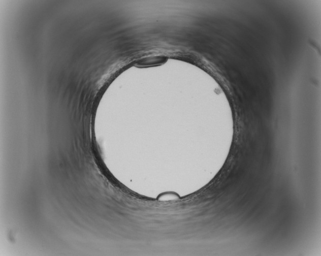 X0000099530011200806131137