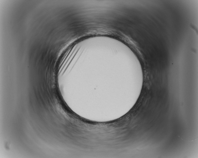 X0000099530012200806131137