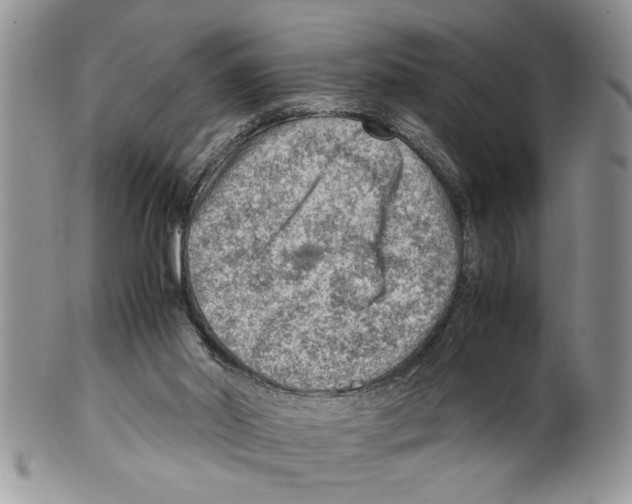 X0000099530014200806131137