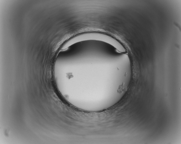 X0000099530015200806131137