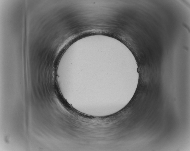 X0000099530016200806131137