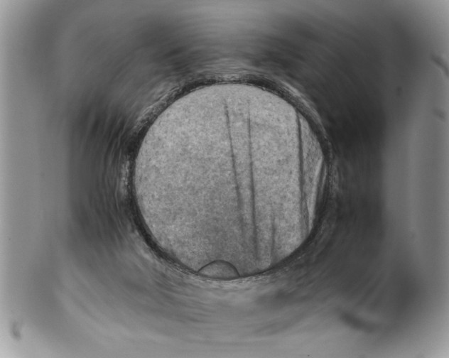 X0000099530018200806131137