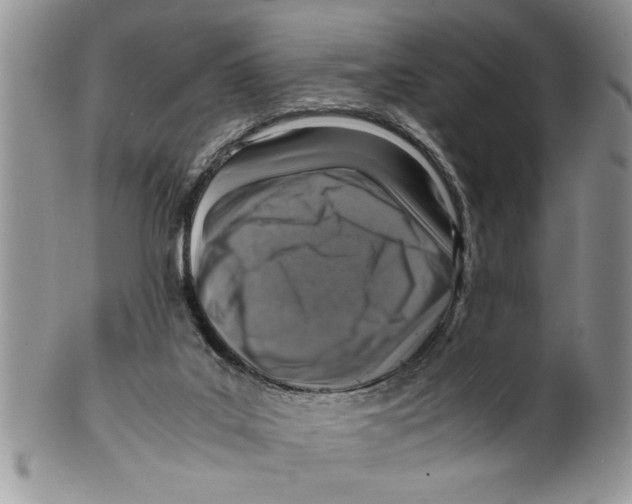 X0000099530019200806131137