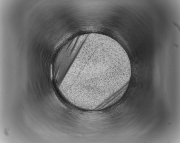 X0000099530020200806131137