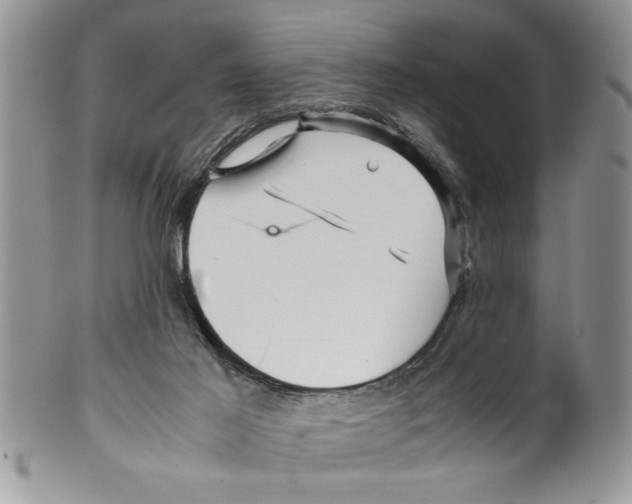 X0000099530021200806131137