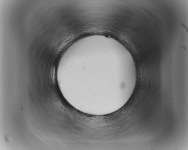 X0000099530024200806131137