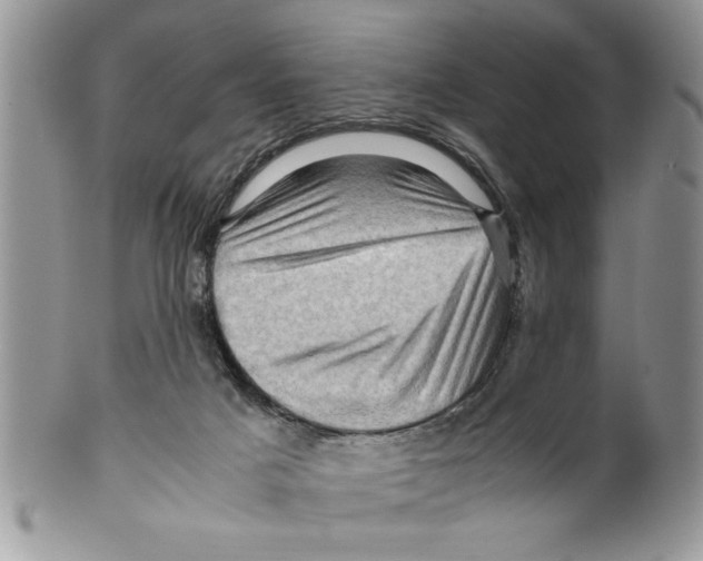 X0000099530025200806131137