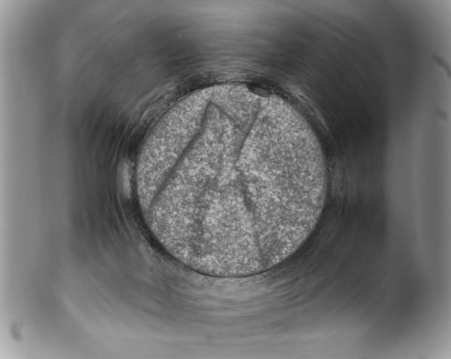 X0000099530026200806131137