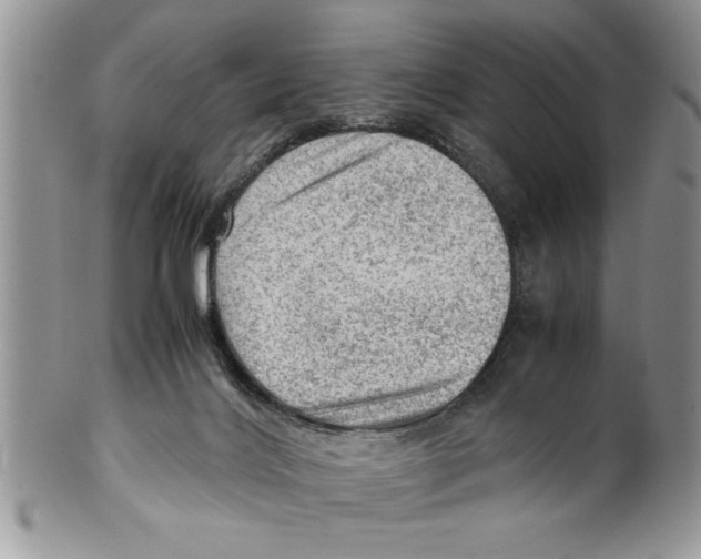 X0000099530028200806131137