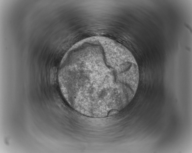 X0000099530030200806131137