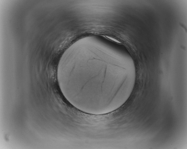 X0000099530031200806131137