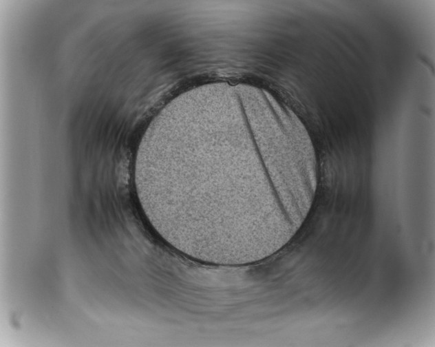 X0000099530032200806131137