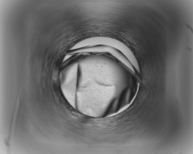 X0000099530033200806131137