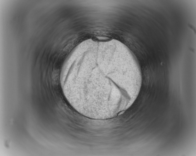 X0000099530034200806131137