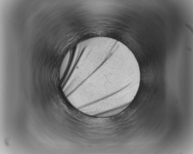 X0000099530036200806131137