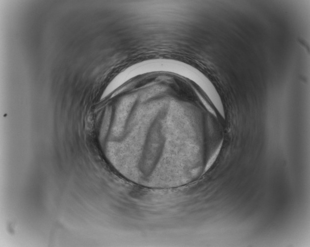 X0000099530037200806131137