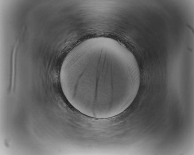 X0000099530039200806131137