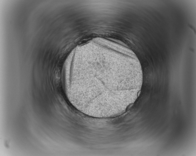 X0000099530040200806131137