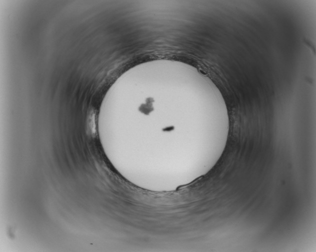 X0000099530042200806131137