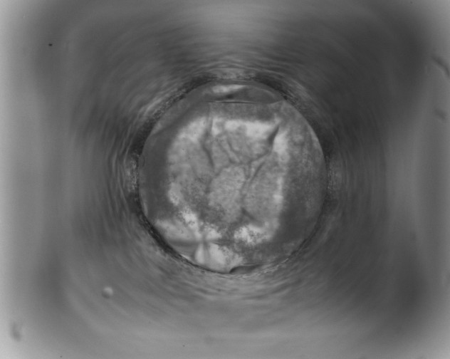 X0000099530043200806131137