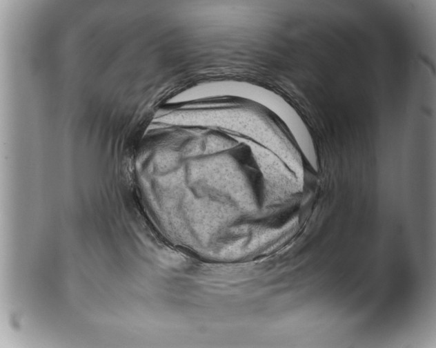 X0000099530045200806131137