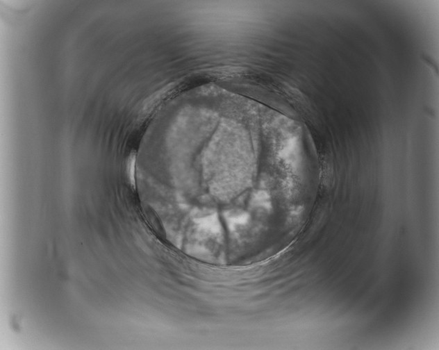 X0000099530047200806131137