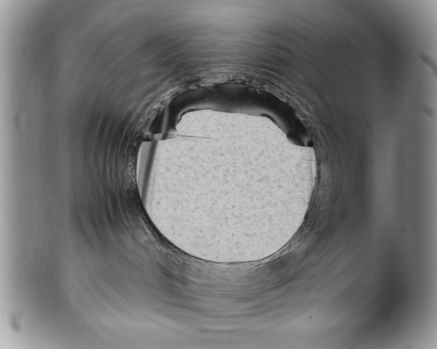 X0000099530048200806131137