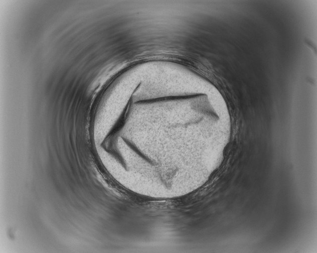 X0000099530050200806131136