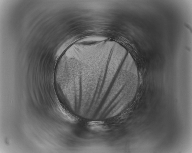 X0000099530051200806131136