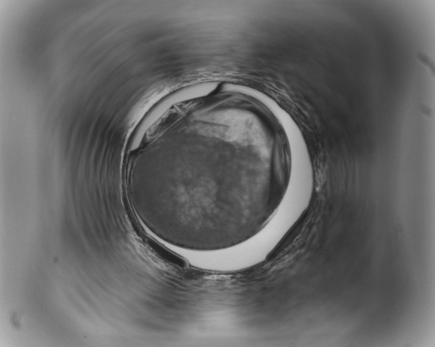 X0000099530052200806131136