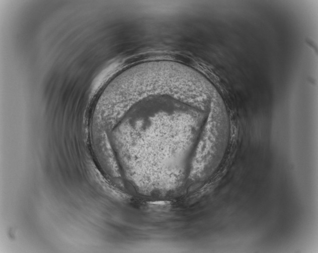 X0000099530053200806131136