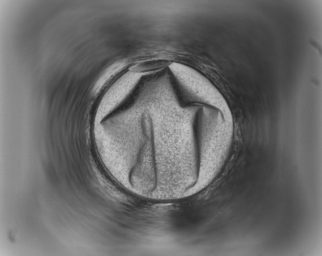 X0000099530054200806131136