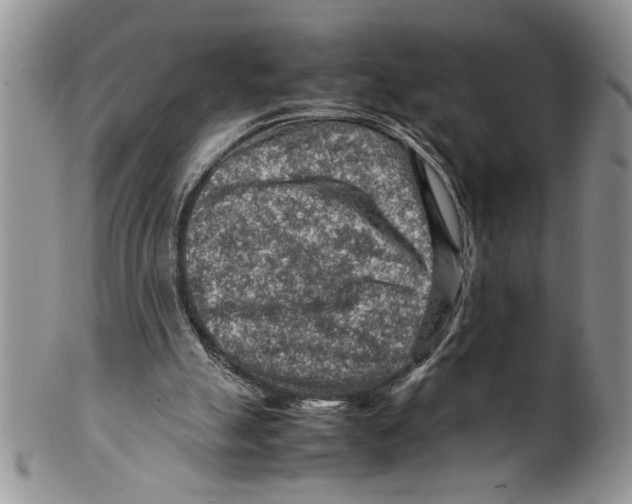 X0000099530055200806131136