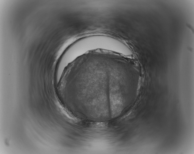 X0000099530056200806131136