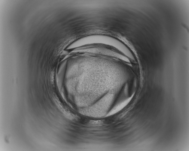 X0000099530057200806131136