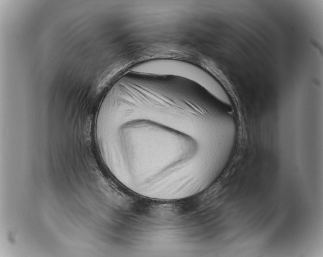 X0000099530058200806131136