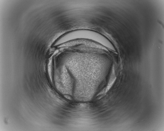 X0000099530060200806131136