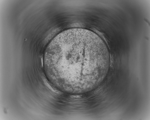 X0000099530061200806131136