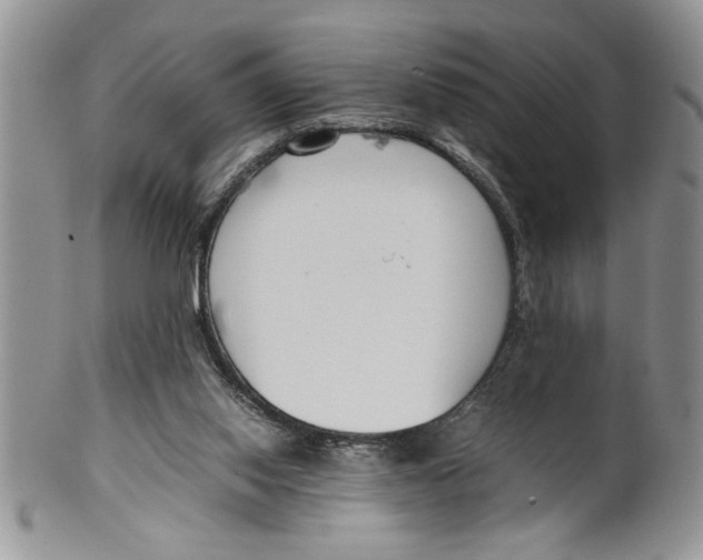 X0000099530062200806131136