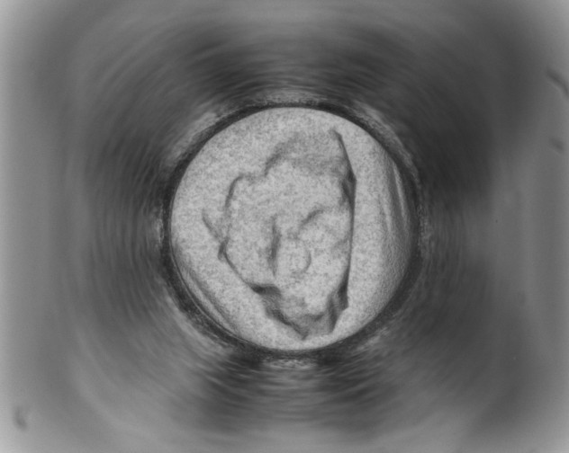 X0000099530063200806131136