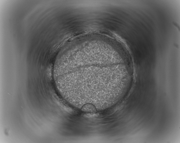 X0000099530065200806131136