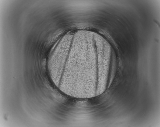 X0000099530066200806131136