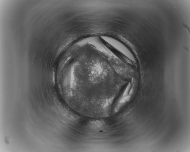 X0000099530067200806131136