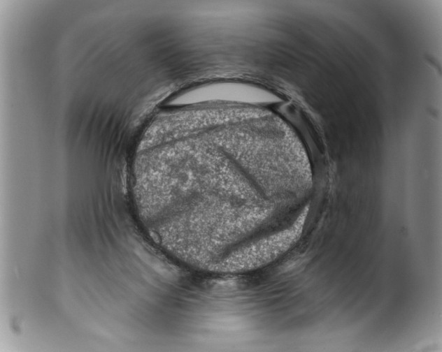 X0000099530068200806131136