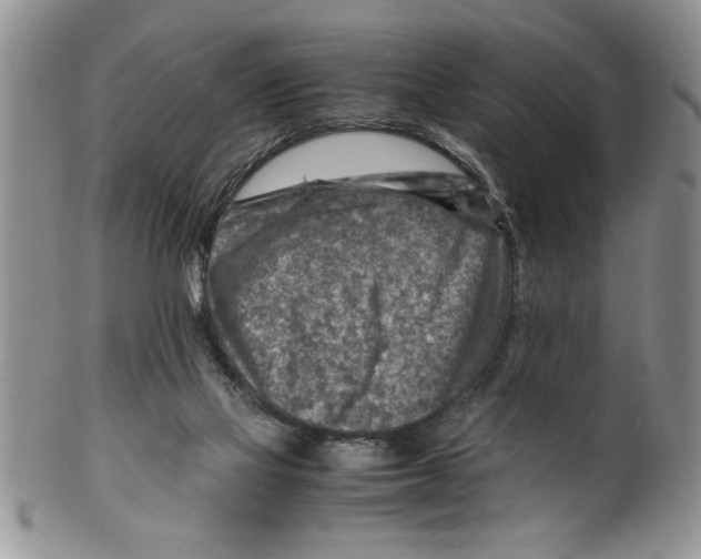 X0000099530069200806131136