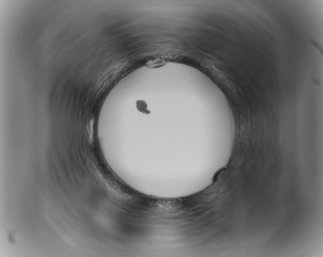 X0000099530070200806131136