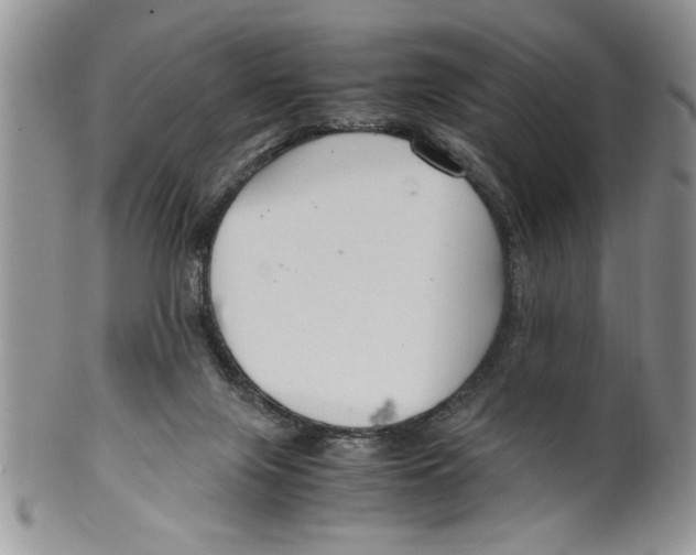 X0000099530071200806131136