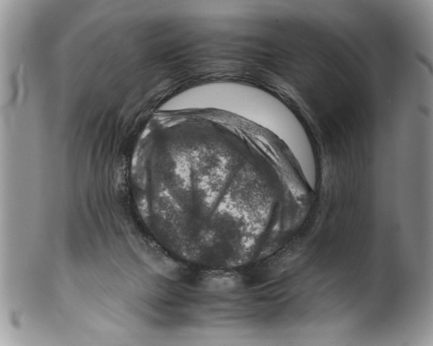 X0000099530073200806131136