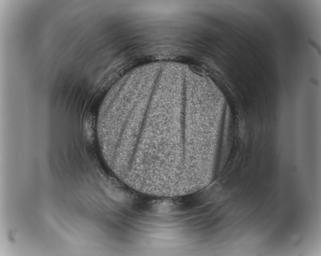 X0000099530074200806131136