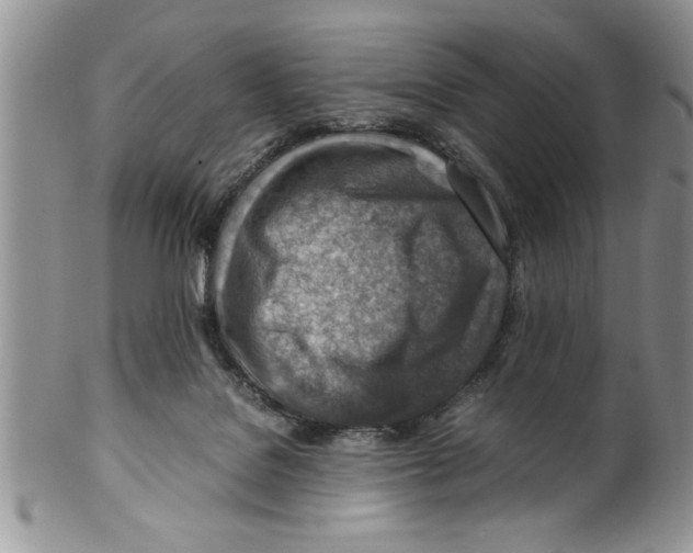 X0000099530076200806131136